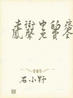 老街中的痞子赵凤声免费全本阅读