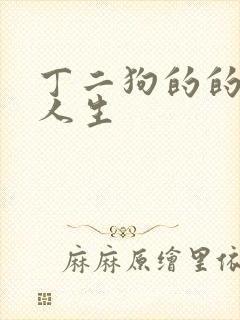 丁二狗的的猎艳人生