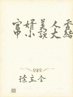 官婿美人香刘志中小说大结局封面