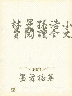 林曼孙浩小说免费阅读全文最新章节