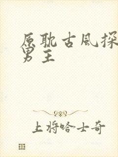 原耽古风探案双男主