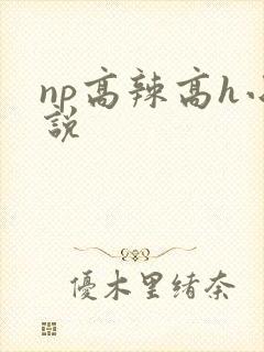 np高辣高h小说