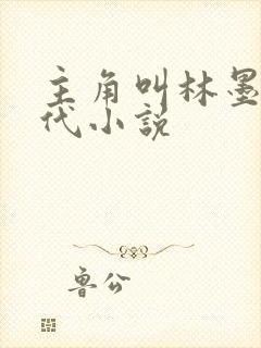 主角叫林墨的现代小说封面