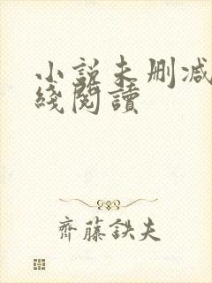 小说未删减版在线阅读