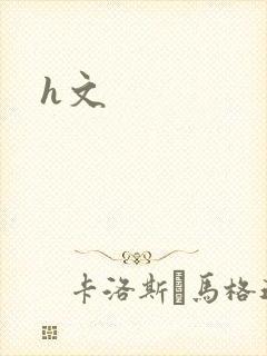 h文