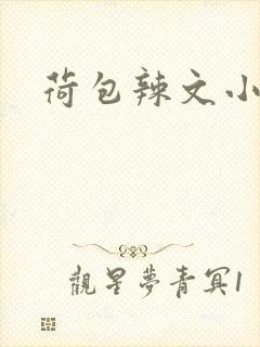 荷包辣文小说网封面