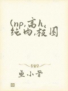 (np,高h,纯肉,校园