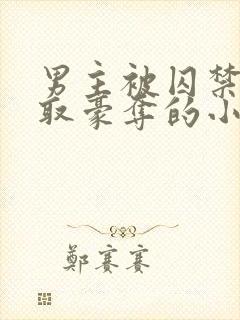 男主被囚禁被强取豪夺的小说笔趣阁