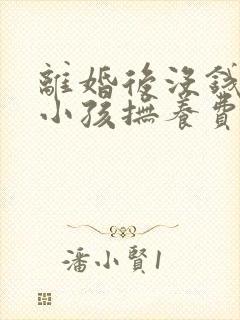 离婚后没钱支付小孩抚养费会怎么样封面