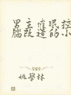 男主催眠控制洗脑改造的小说推荐