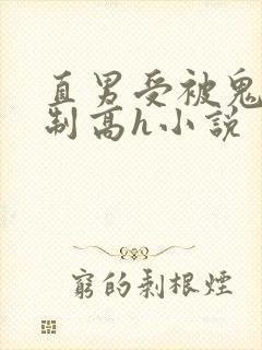 直男受被鬼攻强制高h小说封面