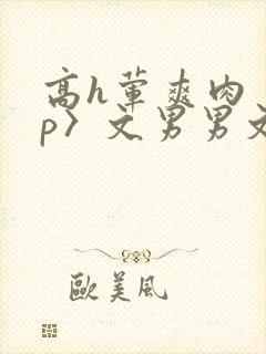 高h荤爽肉〈np〉文男男文封面