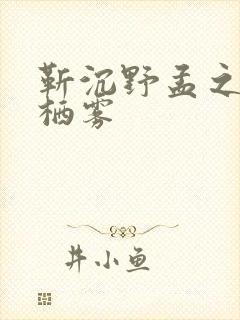 靳沉野孟之瑶唐栖雾