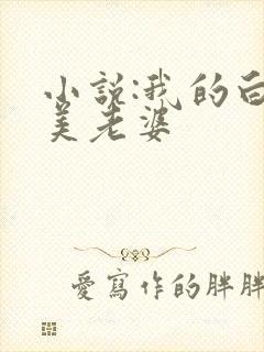 小说:我的白富美老婆