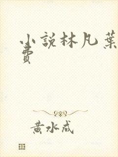 小说林凡叶惜免费
