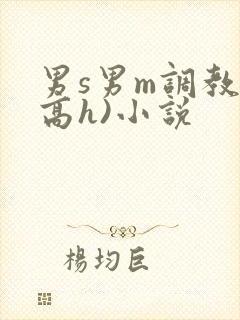 男s男m调教(高h)小说