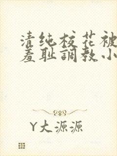 清纯校花被民工羞耻调教小说封面