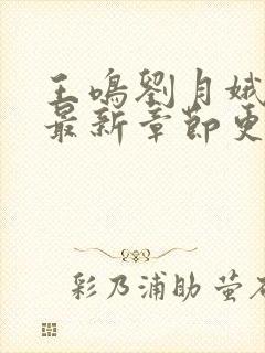 王鸣刘月娥小说最新章节更新时间