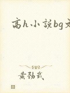 高h小说bg文