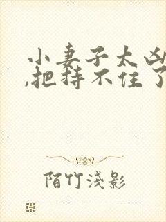 小妻子太凶陆爷,把持不住了免费阅读小说