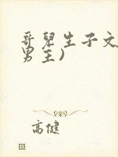 哥儿生子文(双男主)
