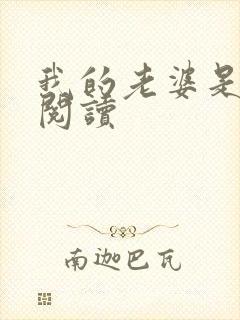 我的老婆是总裁阅读