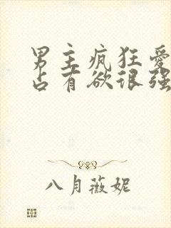 男主疯狂爱女主占有欲很强的小说