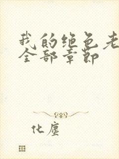 我的绝色老板娘全部章节