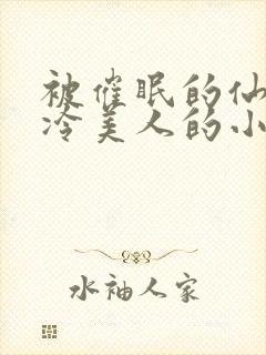 被催眠的仙子高冷美人的小说