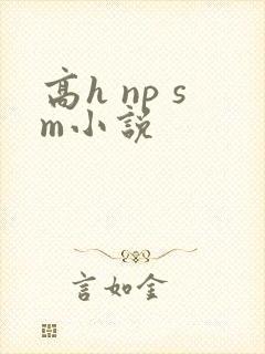 高h np sm小说