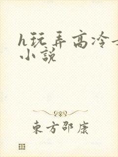 h玩弄高冷女神小说