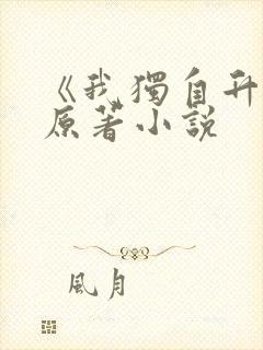 《我独自升级》原著小说封面