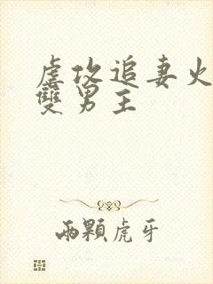 虐攻追妻火葬场双男主