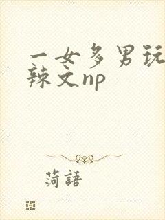 一女多男玩弄h辣文np封面