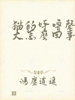 猫的呼噜声特别大怎么回事