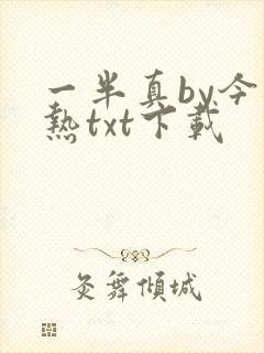 一半真by今不热txt下载