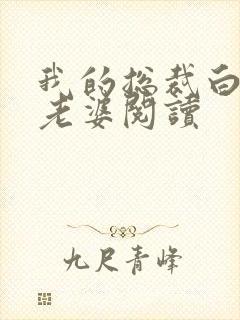 我的总裁白富美老婆阅读