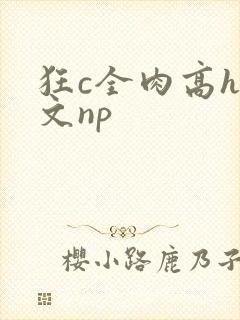 狂c全肉高h辣文np