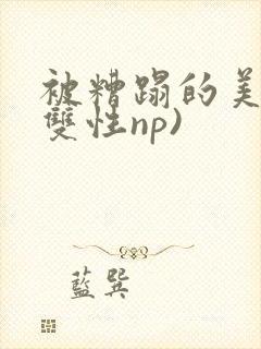 被糟蹋的美人(双性np)封面