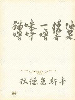 猫咪一摸他就呼噜呼噜响是怎么回事