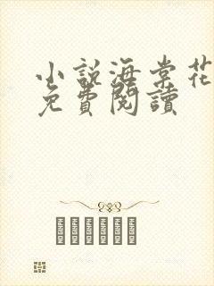 小说海棠花未眠免费阅读封面