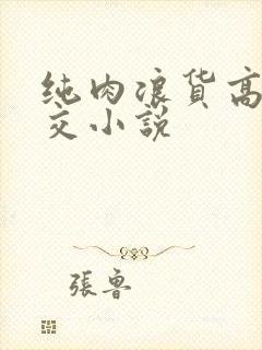 纯肉浪货高h公交小说