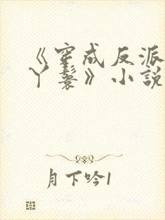 《穿成反派的小丫鬟》小说封面