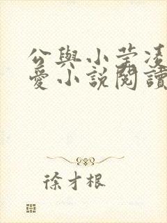 公与小莹凌晨欢爱小说阅读最新章节