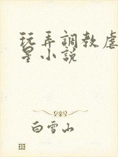 玩弄调教虐女明星小说