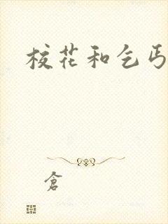 校花和乞丐后续封面