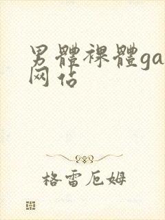 男体裸体gay网站