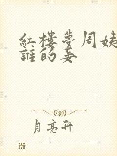 红楼梦周姨娘是谁的妾