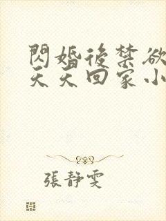 闪婚后禁欲大佬天天回家小说封面