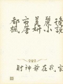 都市美丽后宫唐枫唐妍小说